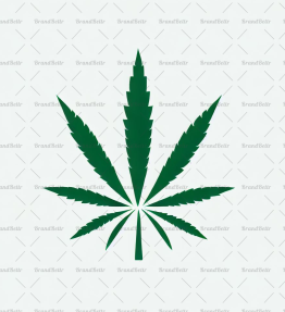 Cannabis