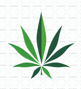 Cannabis