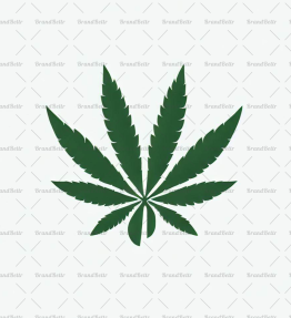 Cannabis