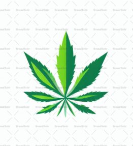 Cannabis
