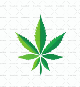 Cannabis