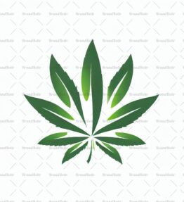 Cannabis