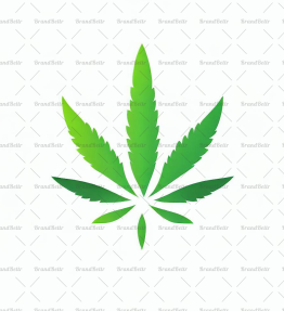 Cannabis