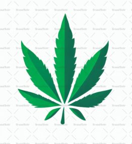 Cannabis