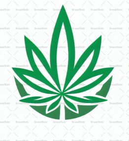 Cannabis