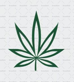 Cannabis