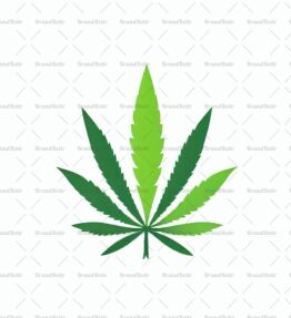 Cannabis