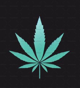 Cannabis