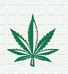 Cannabis