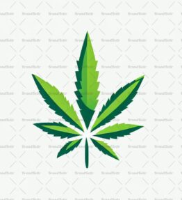 Cannabis