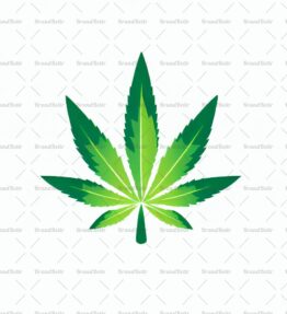 Cannabis