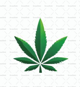 Cannabis
