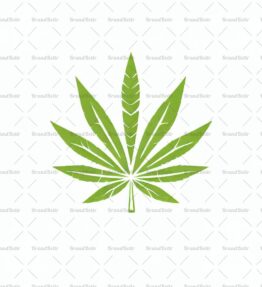 Cannabis