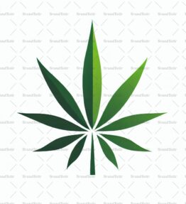 Cannabis