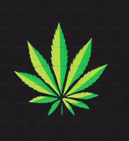 Cannabis