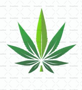 Cannabis