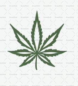 Cannabis