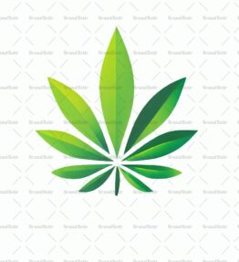 Cannabis