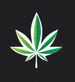 Cannabis