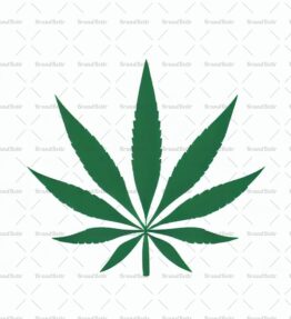Cannabis