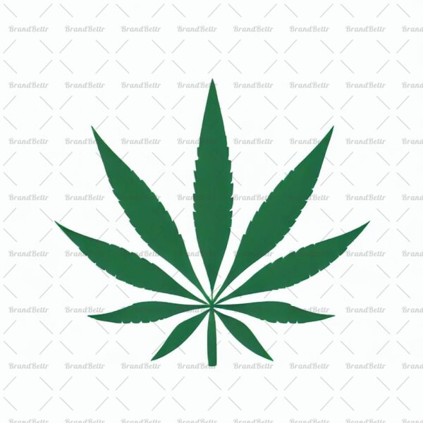 Cannabis