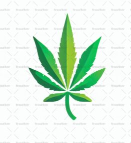 Cannabis