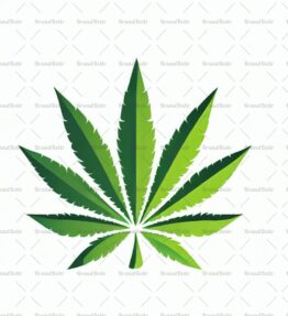 Cannabis