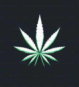Cannabis