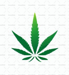 Cannabis