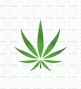 Cannabis