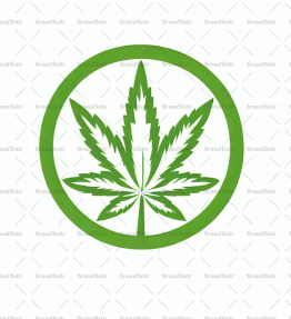 Cannabis