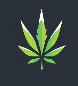 Cannabis