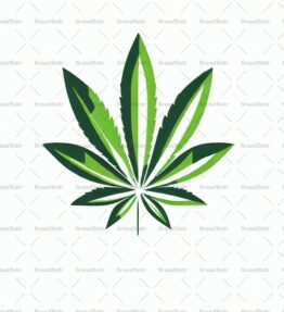 Cannabis