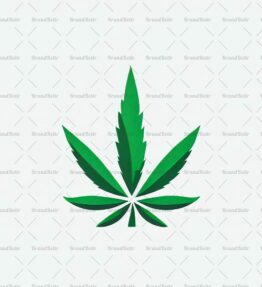 Cannabis