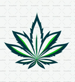 Cannabis