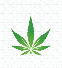 Cannabis