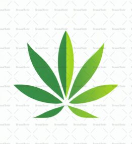 Cannabis