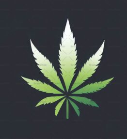 Cannabis