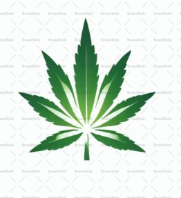 Cannabis
