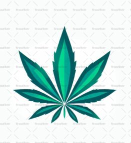 Cannabis