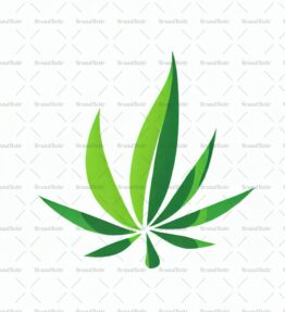 Cannabis