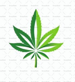 Cannabis