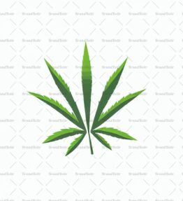 Cannabis