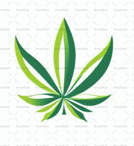 Cannabis