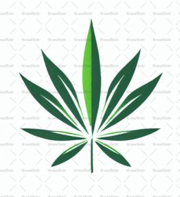 Cannabis