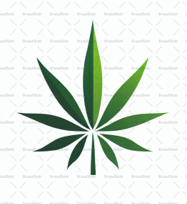 Cannabis