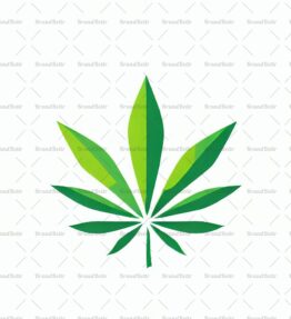 Cannabis