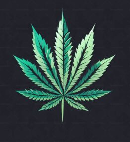 Cannabis