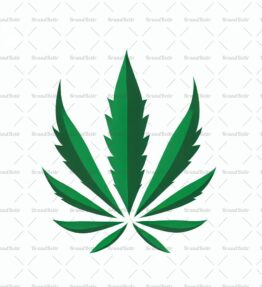 Cannabis