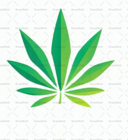 Cannabis